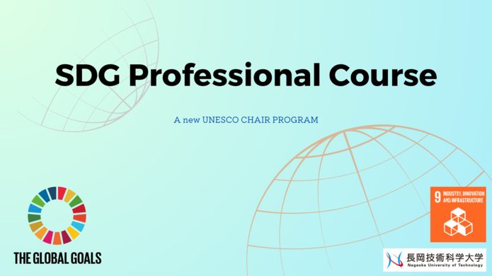 SDG Professional Course