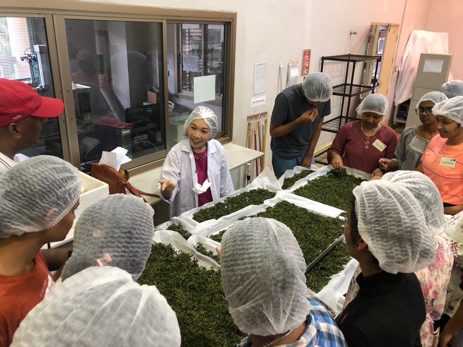 Tea and Coffee Institute Holds a Training Programme on “Tea processing” for Participants from Central Agricultural University and University of Agricultural Sciences, India